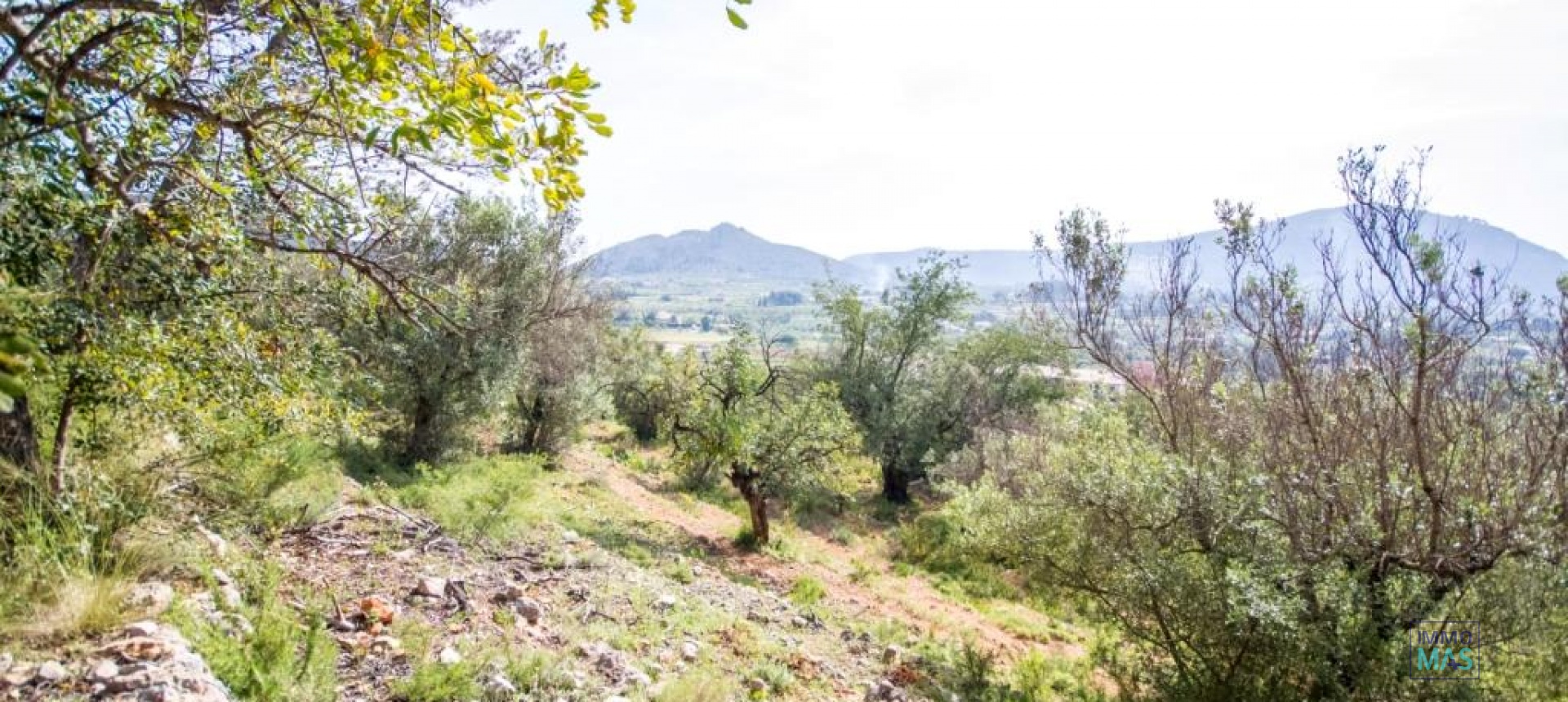 Revente - terrain - Murla