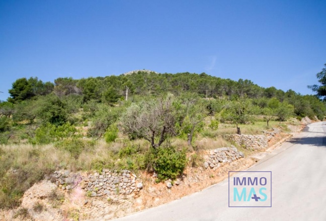 Revente - terrain - Murla