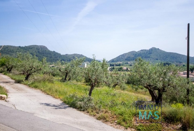 Revente - terrain - Murla