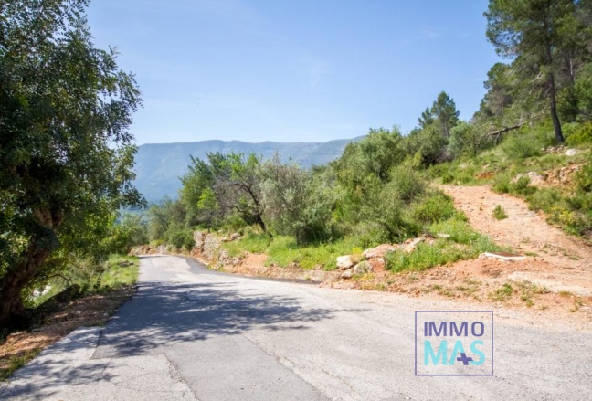 Revente - terrain - Murla