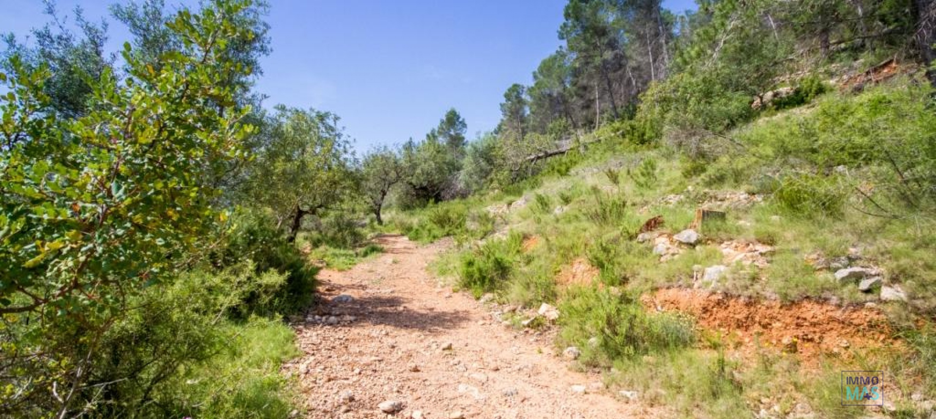 Revente - terrain - Murla