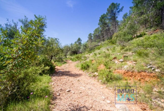 Revente - terrain - Murla