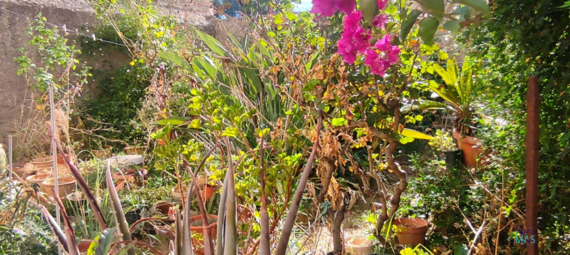 Resale - town_house - Sagra