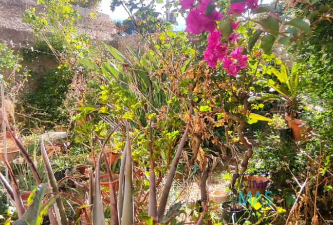 Resale - town_house - Sagra