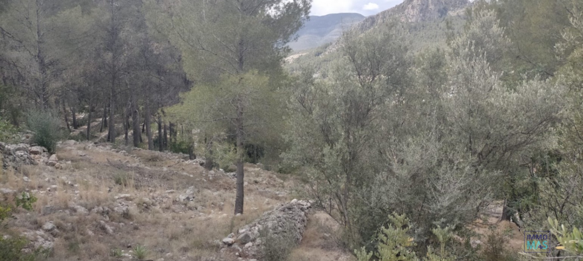 Resale - terrain - Orba - El Aspre