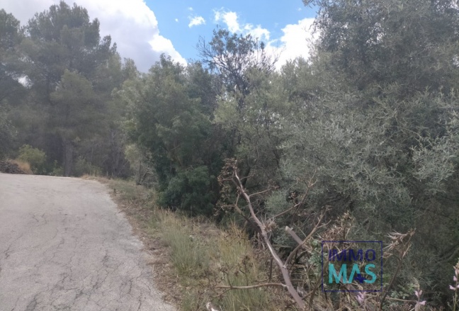 Resale - terrain - Orba - El Aspre