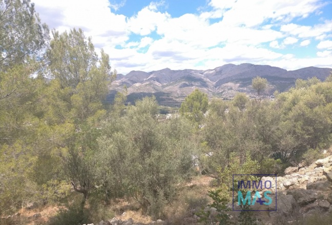 Resale - terrain - Orba - El Aspre