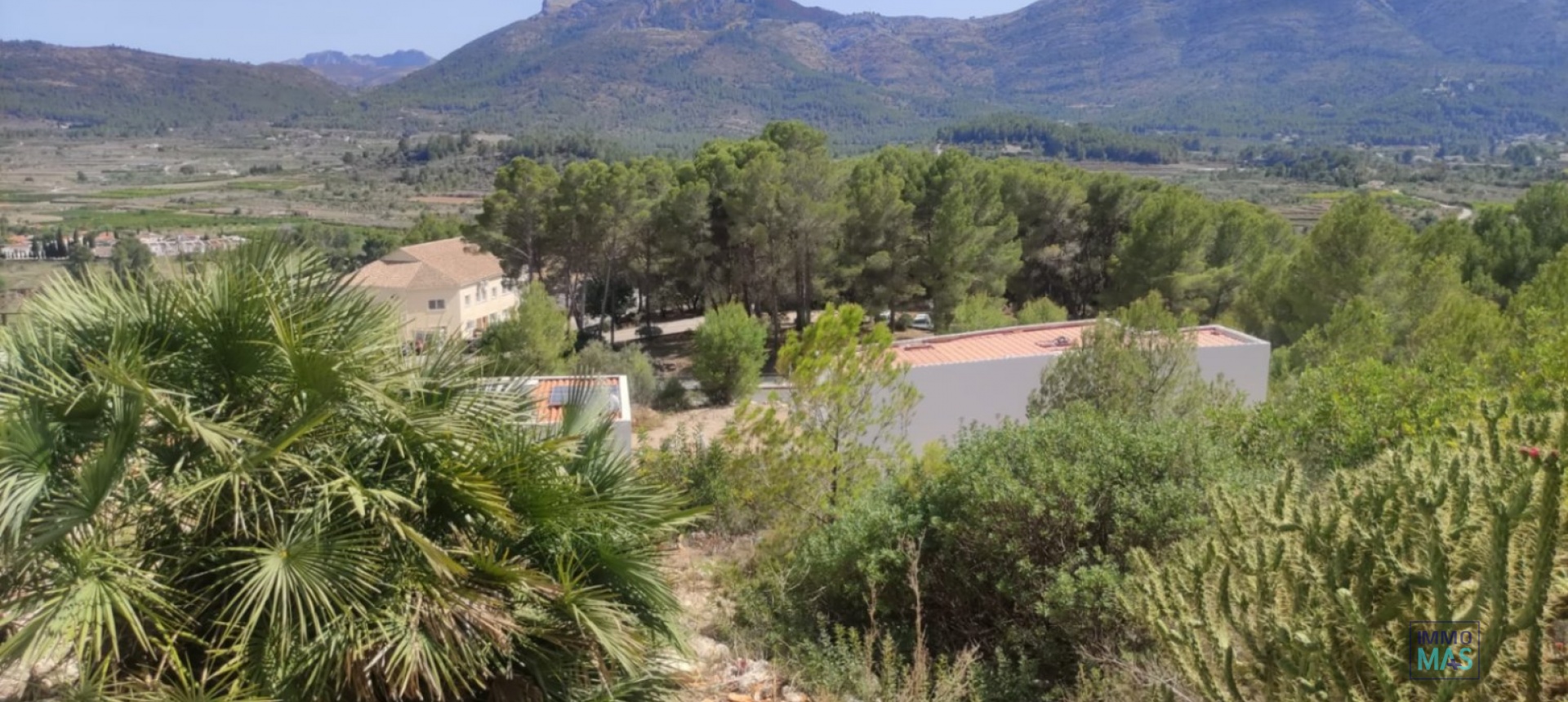 Revente - terrain - Alcalalí