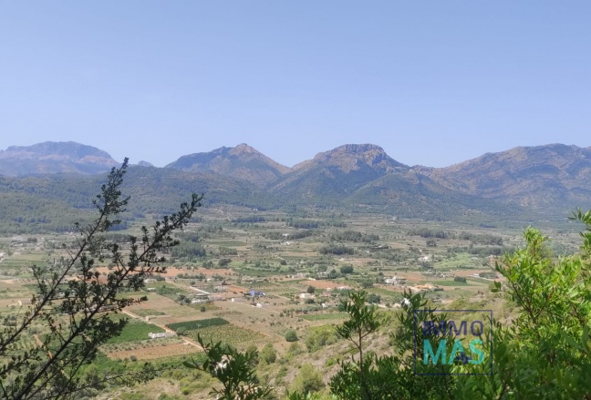 Herverkoop - terrain - Jalón