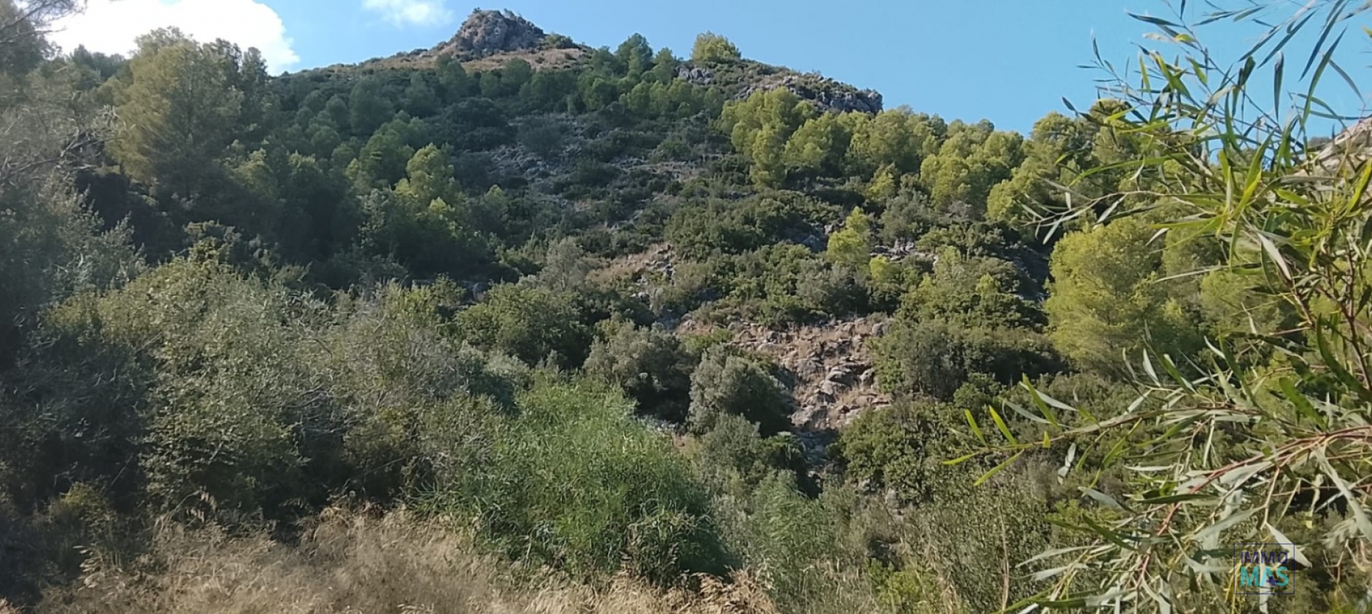 Reventa - terrain - Ráfol de Almunia
