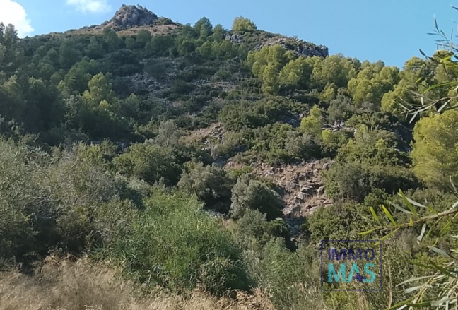 Reventa - terrain - Ráfol de Almunia