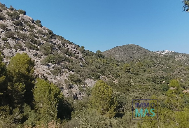 Reventa - terrain - Ráfol de Almunia