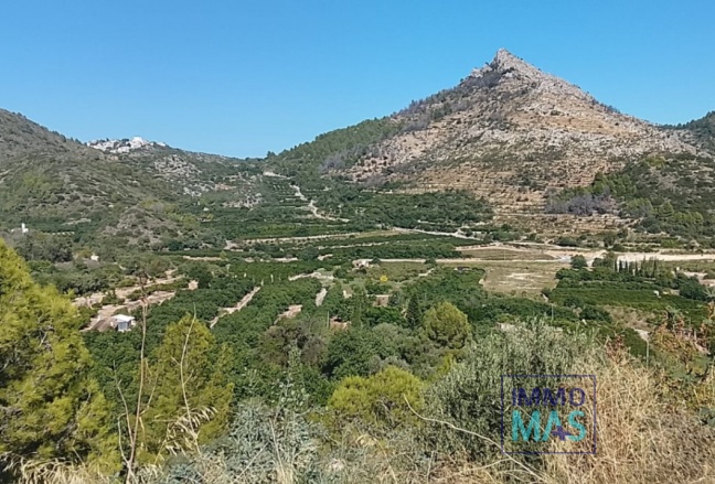Reventa - terrain - Ráfol de Almunia