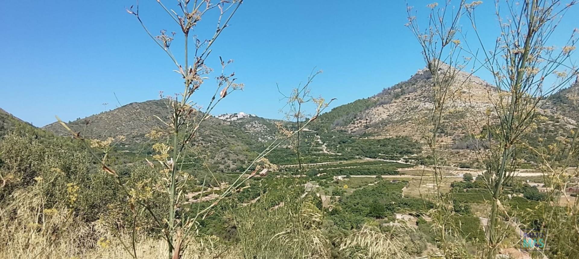 Reventa - terrain - Ráfol de Almunia