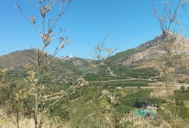 Reventa - terrain - Ráfol de Almunia
