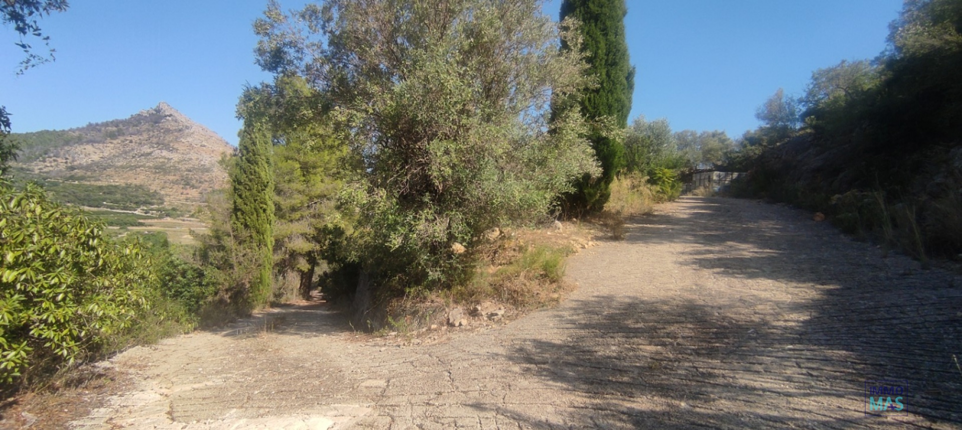 Reventa - terrain - Ráfol de Almunia