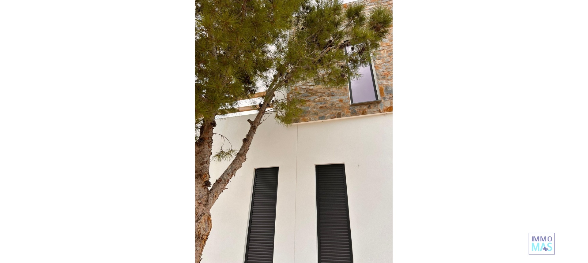 New Build - Villa - Pinoso - Casas Pastor