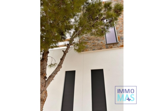 New Build - Villa - Pinoso - Casas Pastor