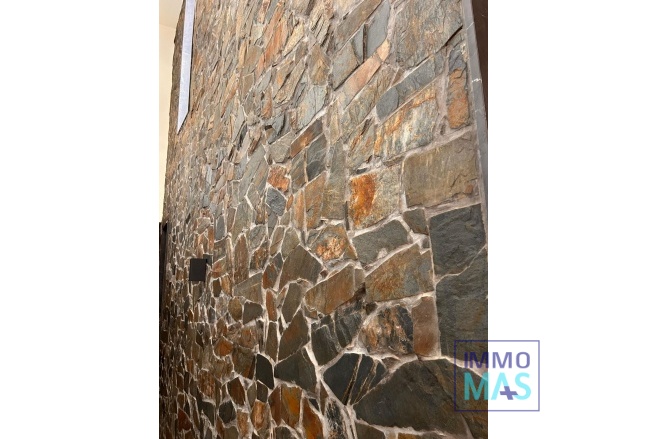 New Build - Villa - Pinoso - Casas Pastor
