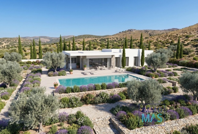 New Build - Villa - Pinoso - Casas Pastor
