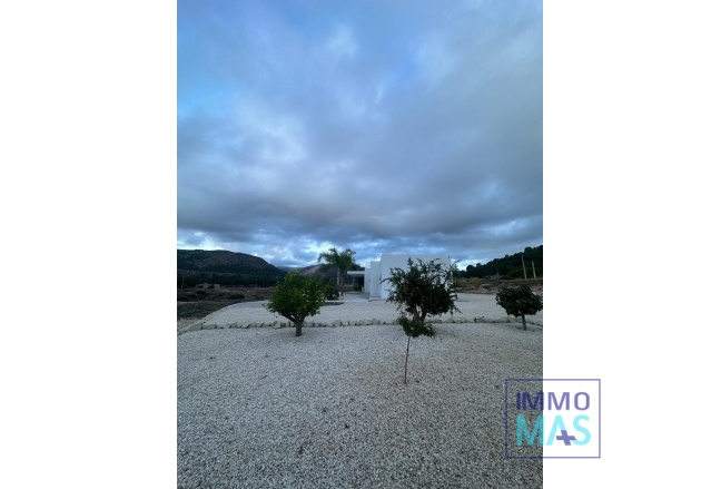 New Build - Villa - Pinoso - Casas Pastor