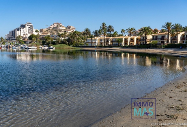 Obra nueva - Apartamento - La Manga Club