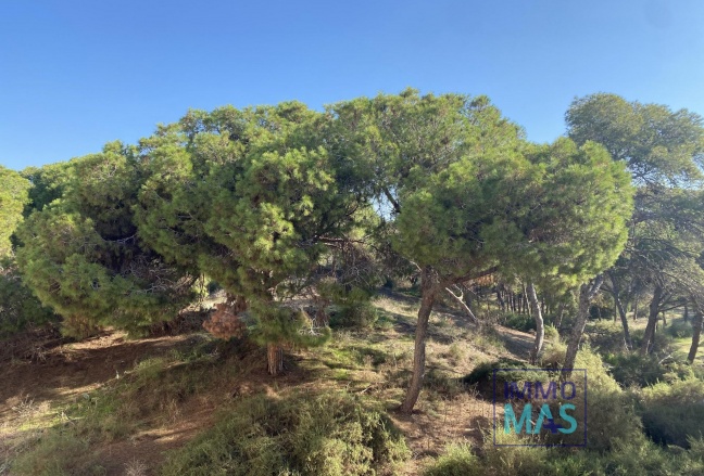 New Build - Apartment - Guardamar del Segura - Centro