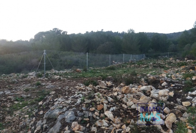 Resale - Plot / Land - Alcalalí