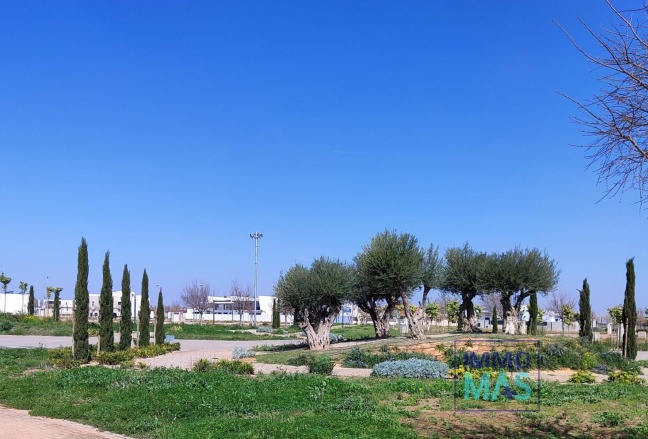 Nouvelle construction - Apartement - Torre Pacheco - Centro