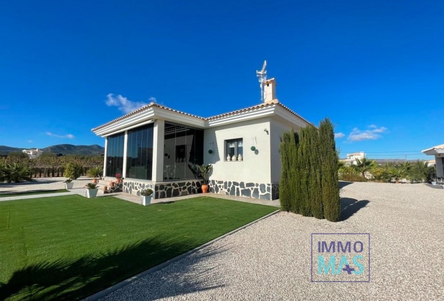 New Build - Villa - Pinoso - Camino Del Prado