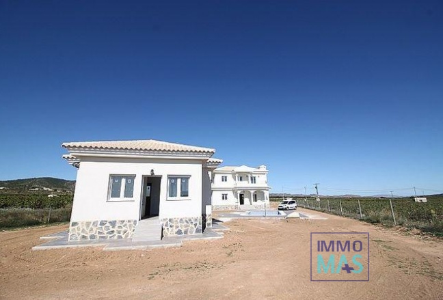 New Build - Villa - Pinoso - Camino Del Prado