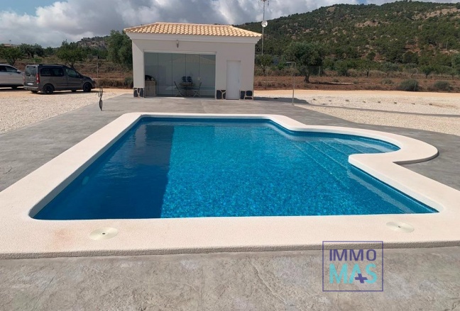 New Build - Villa - Pinoso - Camino Del Prado