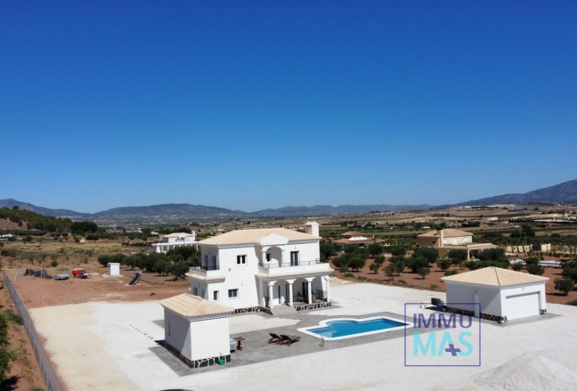 New Build - Villa - Pinoso - Camino Del Prado