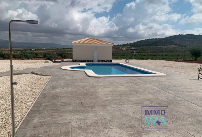 New Build - Villa - Pinoso - Camino Del Prado