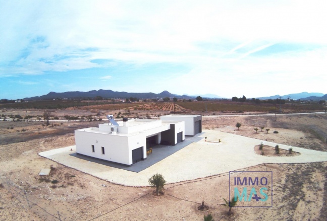 New Build - Villa - Pinoso - Camino Del Prado